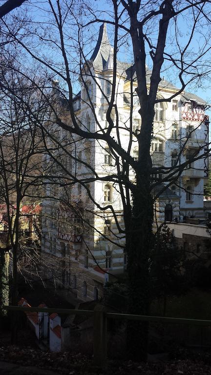 Villa Sofia Apartments Karlovy Vary Bagian luar foto